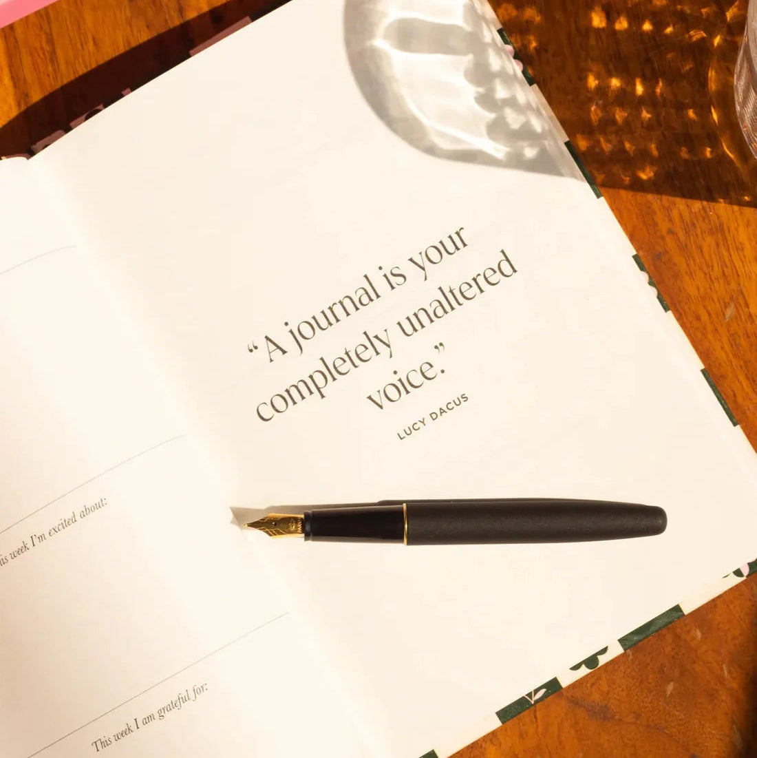 Resolve x Odd Giraffe Wellness Journal