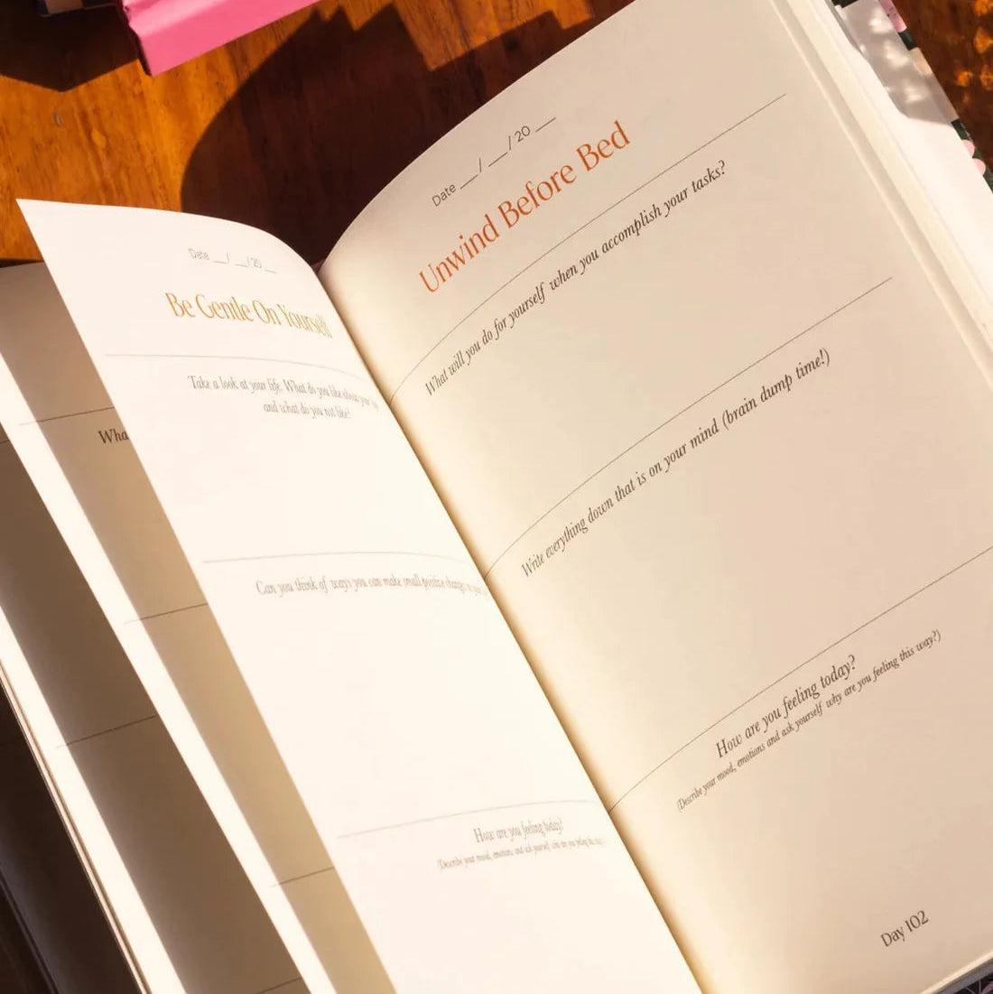 Resolve x Odd Giraffe Wellness Journal