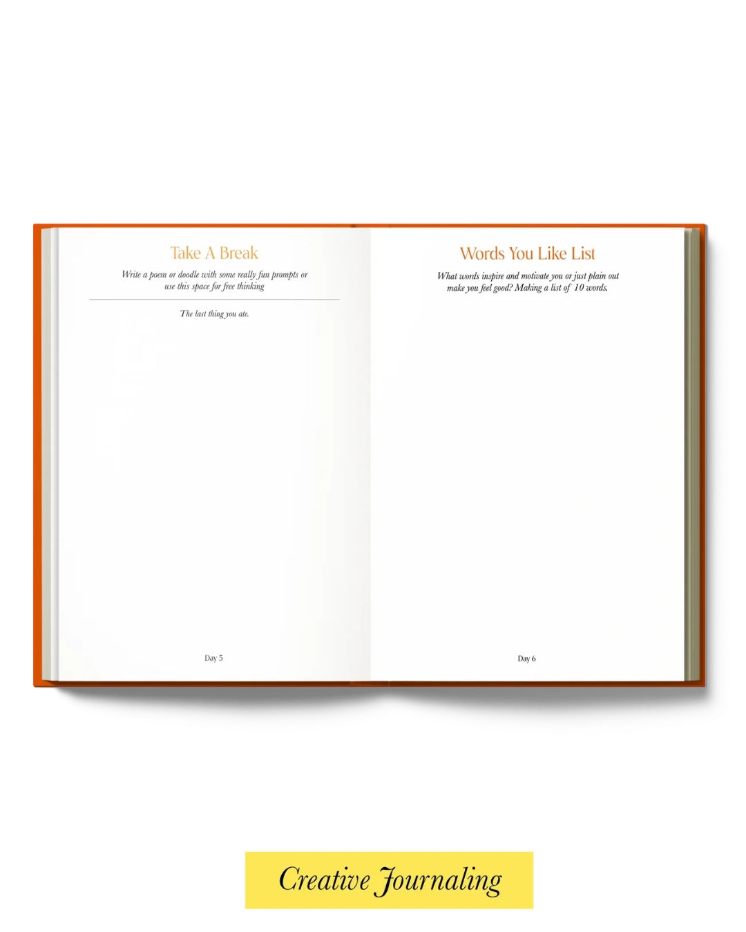Resolve x Odd Giraffe Wellness Journal