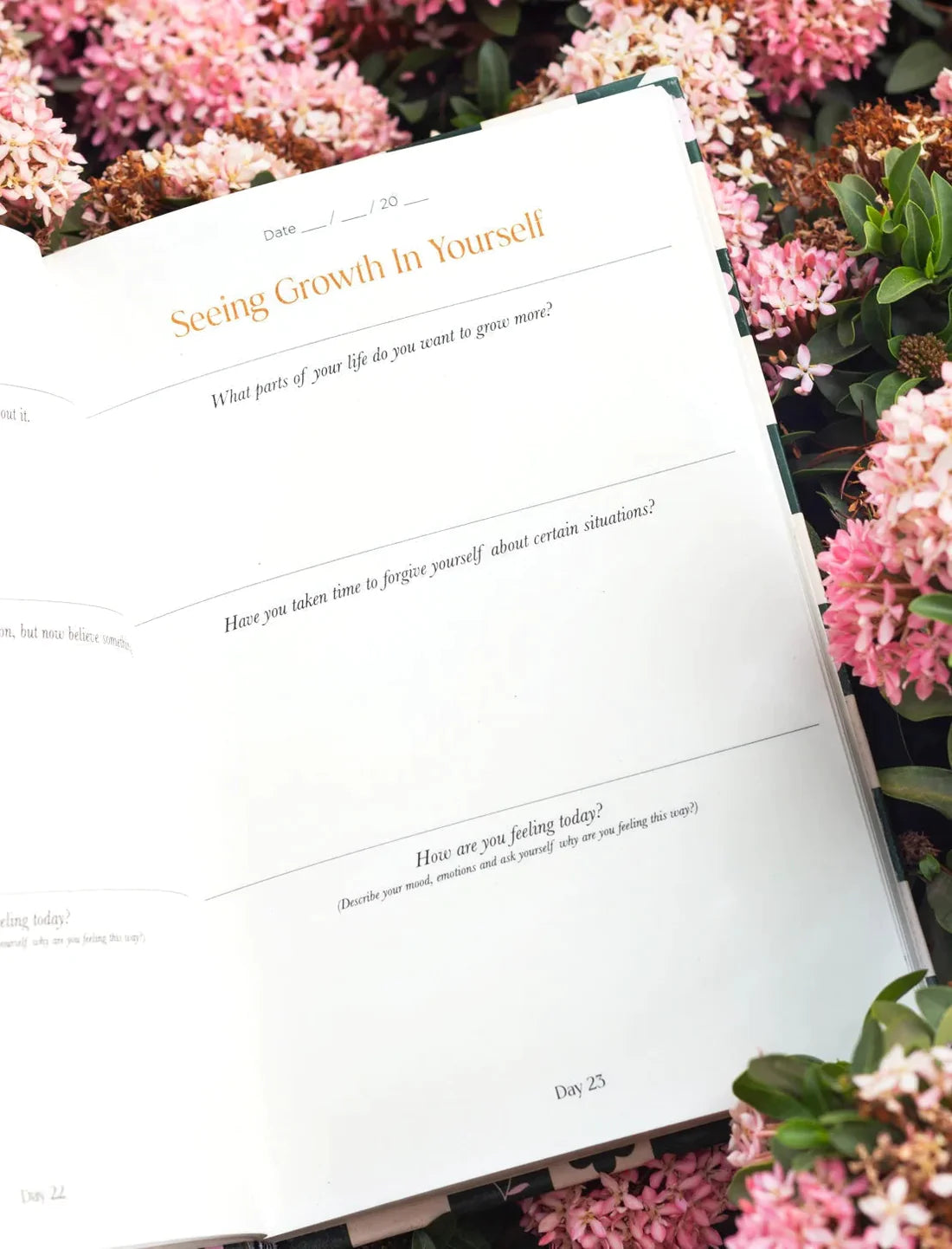 Resolve x Odd Giraffe Wellness Journal