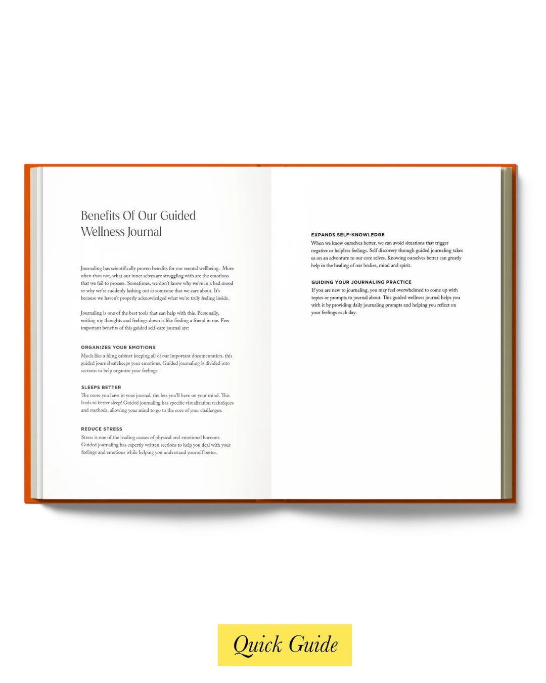 Resolve x Odd Giraffe Wellness Journal