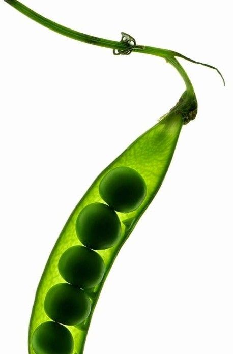 The Ingredient Lab. AnaGain™, Explained