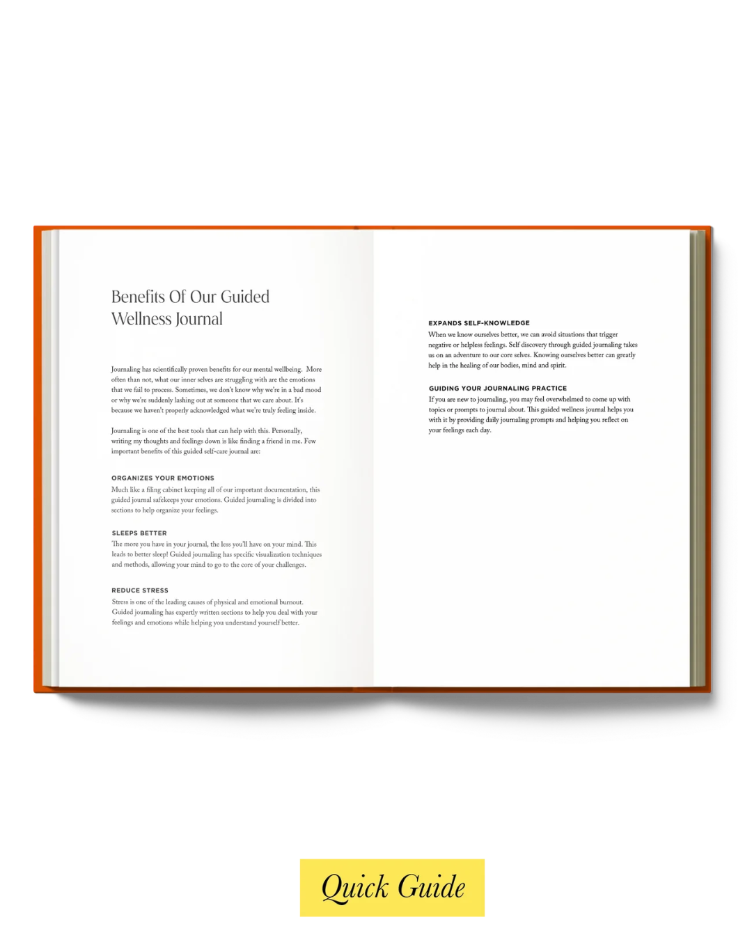 Resolve x Odd Giraffe Wellness Journal