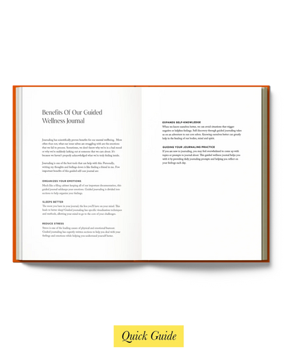 Resolve x Odd Giraffe Wellness Journal