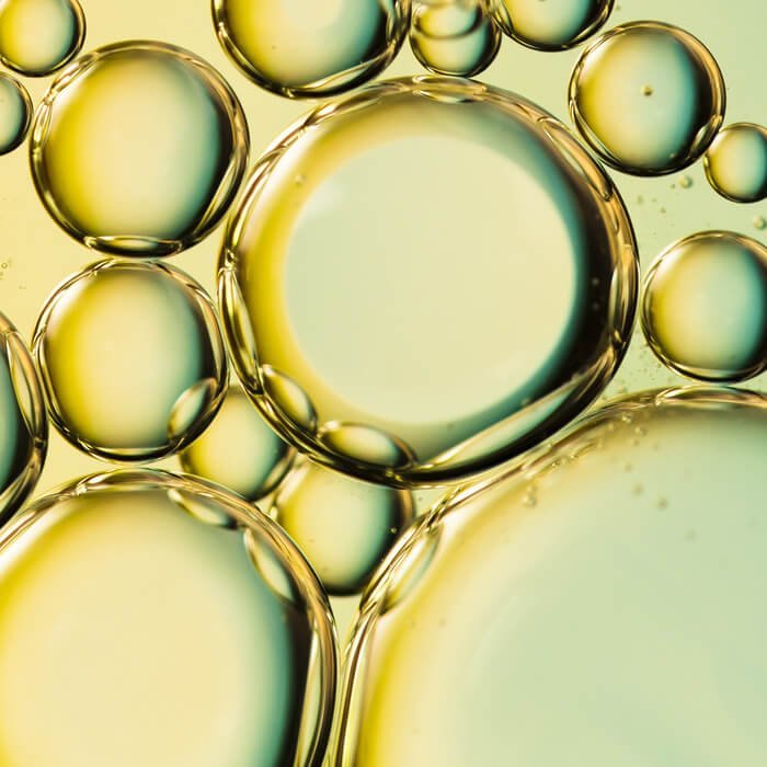 Ceramide Complex